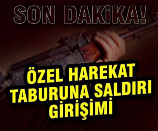 Özel harekat taburuna saldırı girişimi