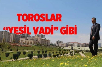 TOROSLAR'A BAHAR GELDİ