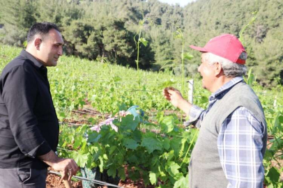 BAŞKAN YILMAZ, YAYLALARDA SAHA İNCELEMESİ YAPTI