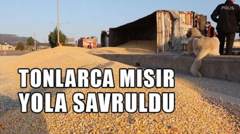 TIR DEVRİLDİ TONLARCA MISIR YOLA SAVRULDU