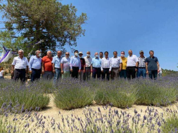 BAYRAMIN SON GÜNÜNDE GÜLNAR'DA KOCAMAZ COŞKUSU YAŞANDI