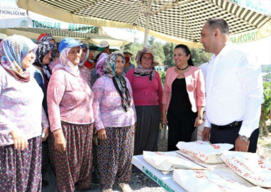 TOROSLAR BELEDİYESİ’NDEN KİVİ FESTİVALİ